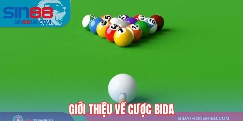Giới thiệu về cược bida